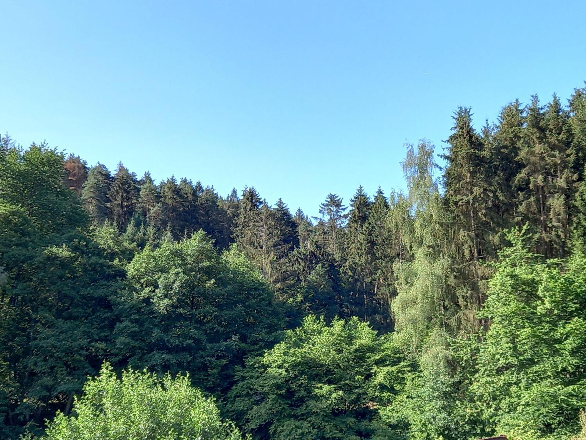 Ferienwohnung Waldblick Trassem Esterno foto